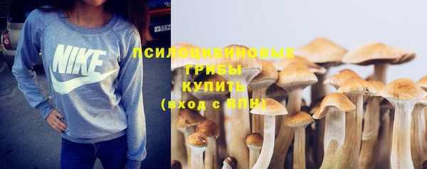 гидра Алексин